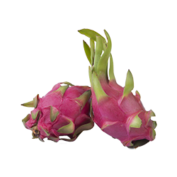 U乐国际·(中国)官方网站