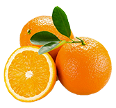 U乐国际·(中国)官方网站