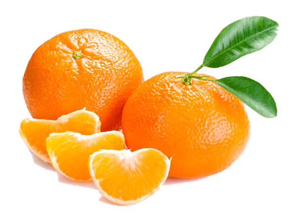 U乐国际·(中国)官方网站